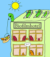 Catalytic Biofilms